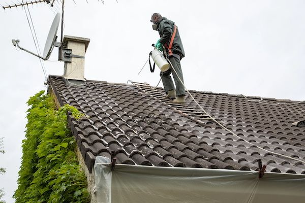 Personne équipée d’un pulvérisateur sur une toiture en tuiles.