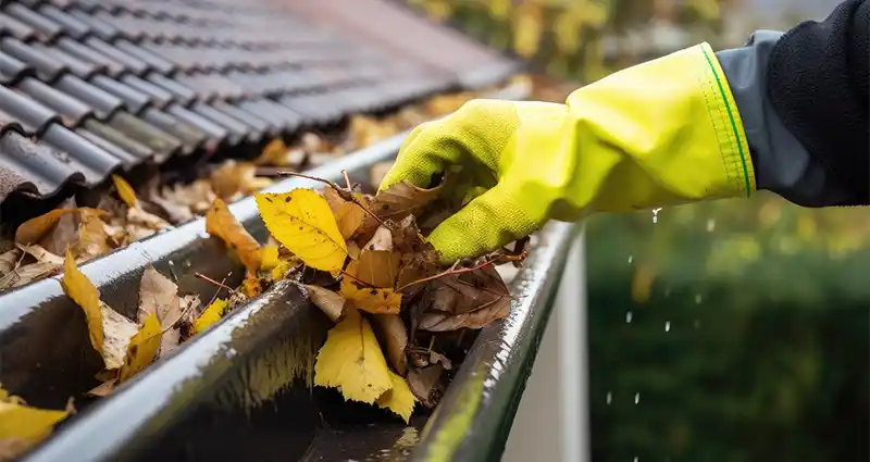 Main gantée retirant des feuilles accumulées dans une gouttière.